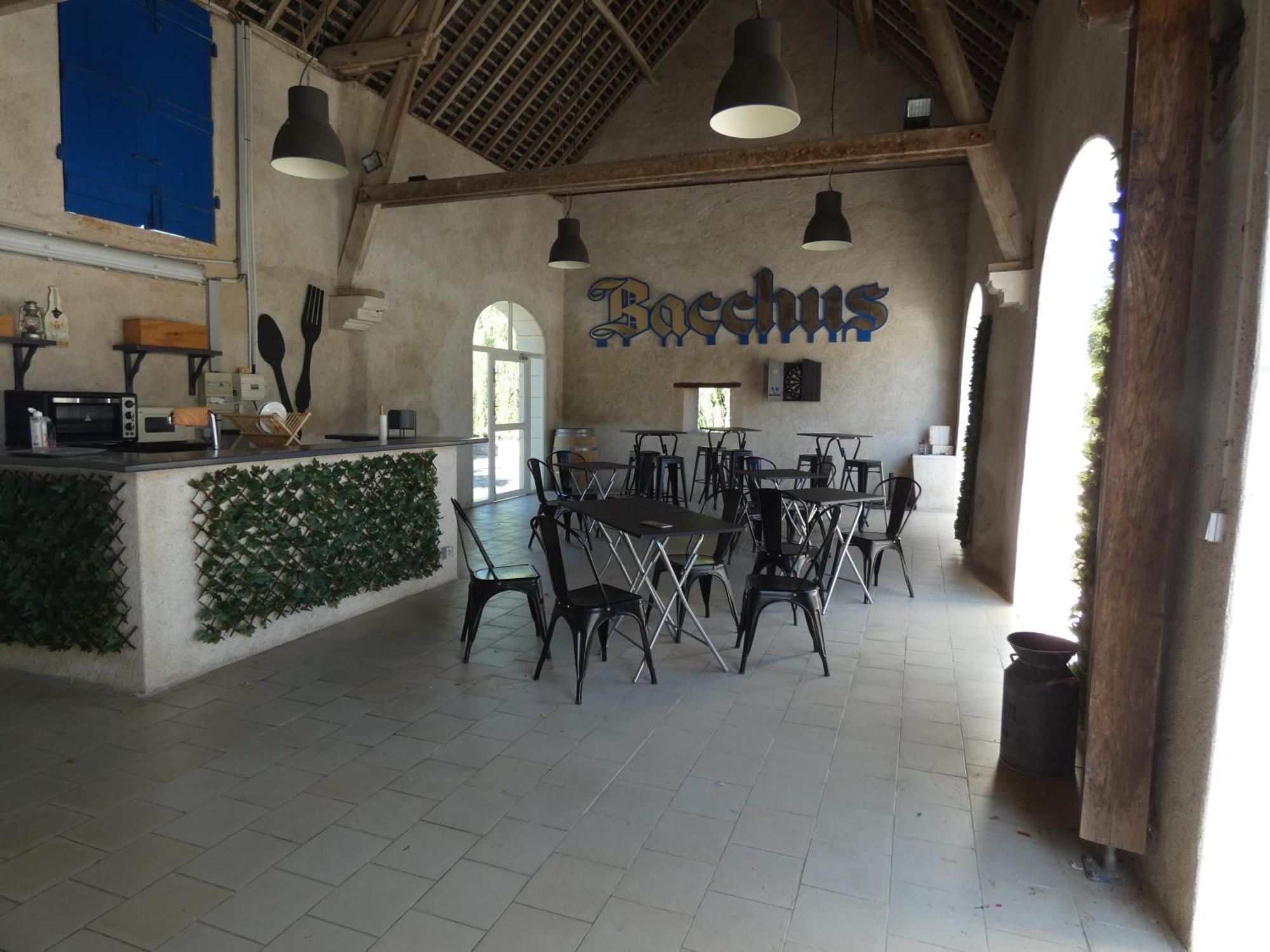 Moulin De Bacchus - Chateaux De La Loire Chançay Eksteriør billede
