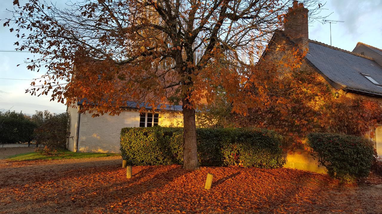 Moulin De Bacchus - Chateaux De La Loire Chançay Eksteriør billede