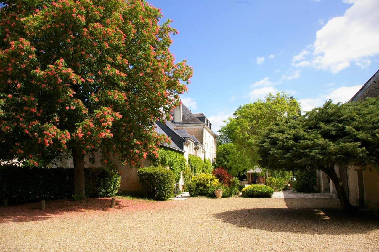 Moulin De Bacchus - Chateaux De La Loire Chançay Eksteriør billede